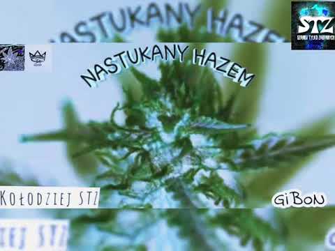 Kołodziej ft.Gibon - Nastukany Hazem