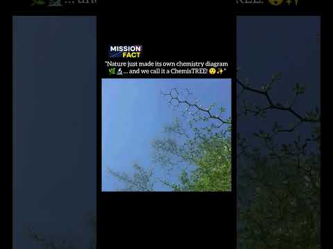 The Real Life ChemisTREE! 😲✨ #shorts #usa #shortsfeed #amazingfacts #chemistry