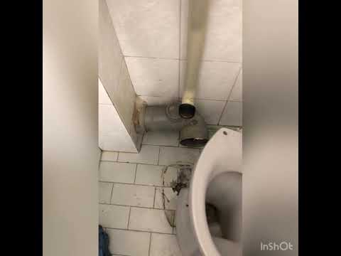 תמונה של מוטי האינסטלטור שלך