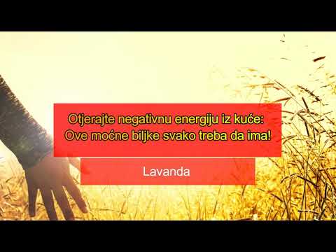 Otjerajte negativnu energiju iz kuće - Ove moćne biljke svako treba da ima!