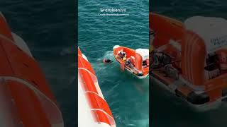 Enchanted Princess Crew Launch Rescue After Local Man Jumps Near Ship. #cruise #cruises #cruisenews