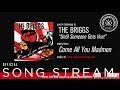 The Briggs - Until Someone Gets Hurt (Official Audio)