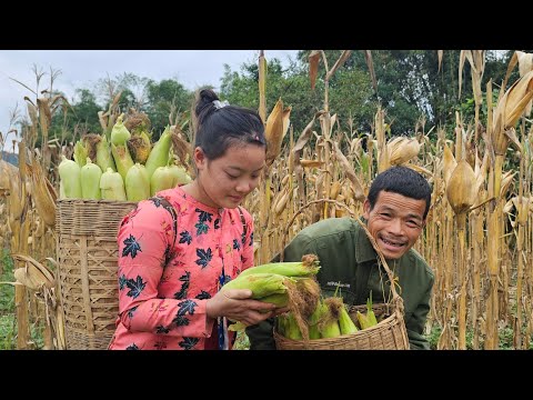 Grandpa and Sua Planting Flowers Around the House: Corn Harvest Season Without Pao at Home