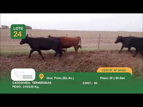 Lote M Y H - Gral Pinto Bs As