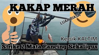 preview picture of video 'Bravo Anglers Club : Strike Ganas !!! Dua Mata Pancing di Sambar Si Kakap Merah. Trip Kersik KALTIM'