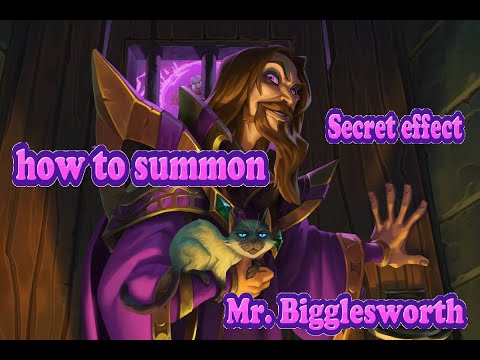 secret interaction Summon Mr. Bigglesworth - Hearthstone Super Secret Easter Egg