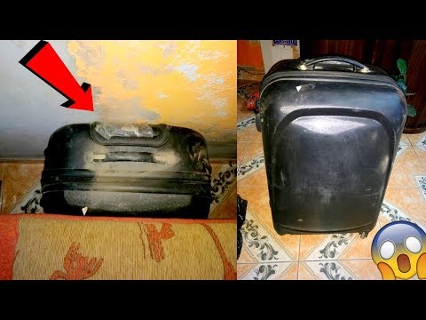 Una mujer ordenaba su nueva casa y encontró esta extraña maleta ¡NO CREERÁS LO QUE HABÍA DENTRO! Video