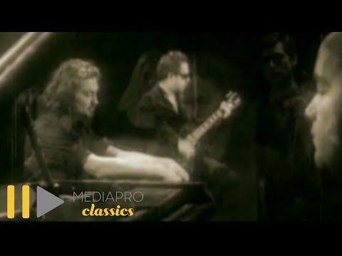 VIP - Te-as fi iubit