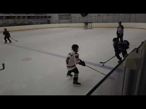 Bjr08 Blue2  Haukat Valkoinen erä3