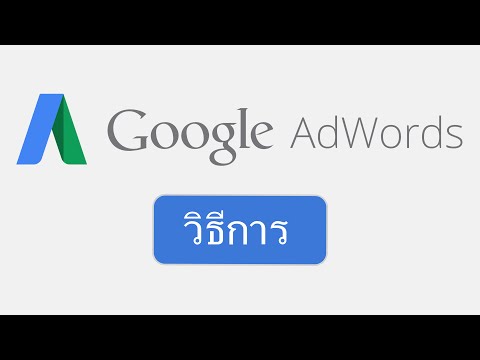 ผลไม้เพิ่มขึ้นแรง พลาสติกผลกระทบสมาชิกบังเหียน