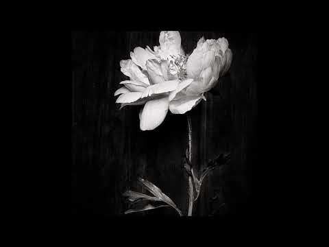 02. grayera - hyacinth forest