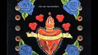 The New Amsterdams - Picture in the Paper