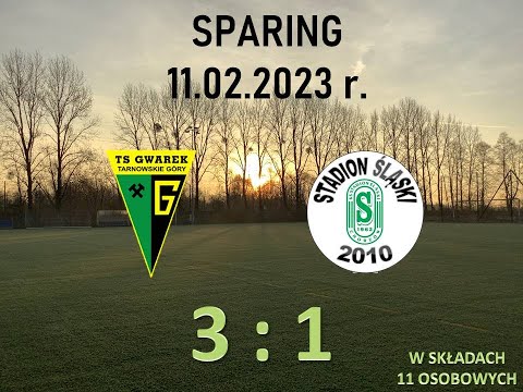 Gwarek Tarnowskie Góry 2010 - Stadion Śląski 2010 - sparing (po 11-tu) - 3:1