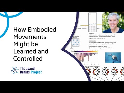 How Embodied Movements Might be Learned and Controlled