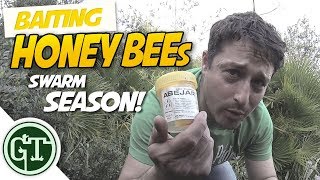 Baiting Honey Bees - Cleaning The Hive | Swarm Season 2018