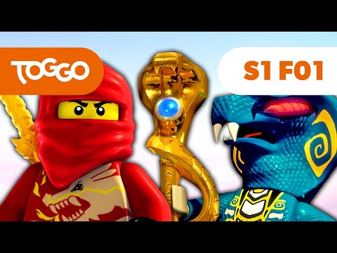 NINJAGO Deutsch | Der Aufstieg der Schlangen | S1 F01 | LEGO | Ganze Folge | TOGGO ​Serien