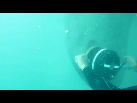 MC131 Underwater cleaning equipment