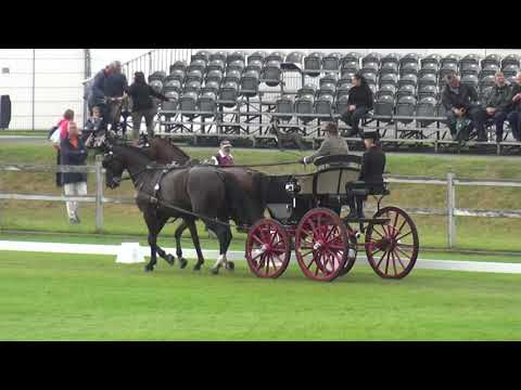 Hans-Henrik NIELSEN (DEN) FEI CH-M-AH2, Kronenberg (The Netherlands), dressage, 10.09.2021