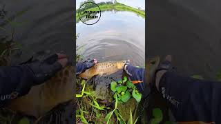 Download lagu Kenapa kamu memilih melepas kembali ikan hasil mancing! mp3
