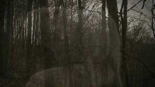 Coyotes by Brian Borcherdt Fan video