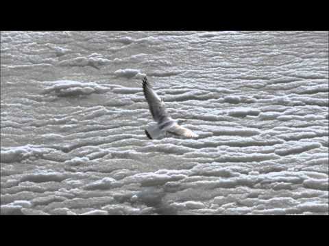 Unkle feat. Moby - God Moving Over The Face Of The Waters