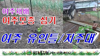 여주/쓴오이 재배 - 여주유인틀 여주지주대 형태