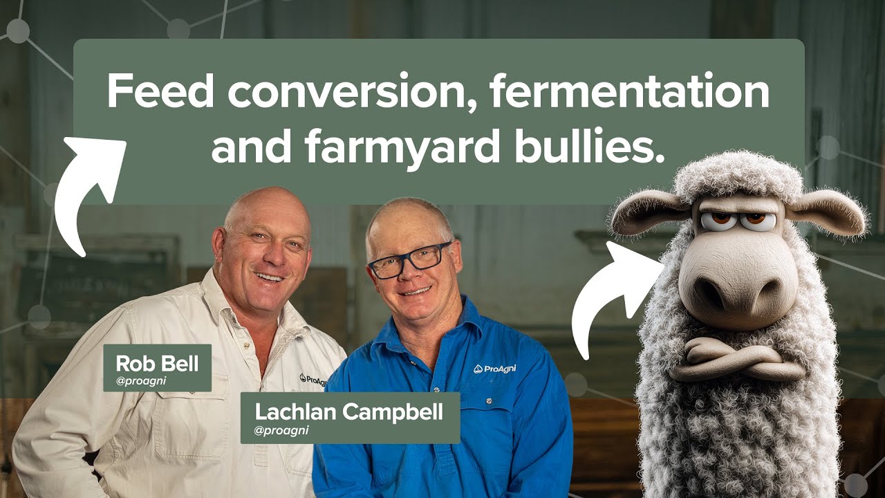Fermentation - The cheat code to livestock performance and feed efficiency. @proagni