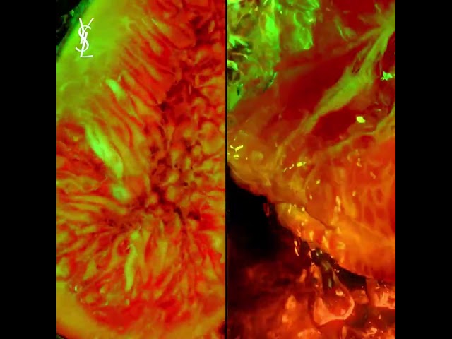 75ML Yves Saint Laurent Black Opium Illicit Green Eau de Parfum Spray  4 of 4 