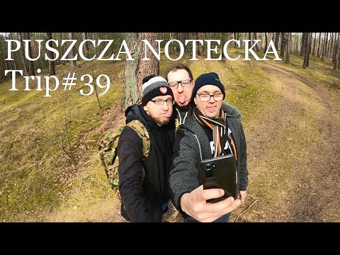 Puszcza Notecka Trip#39