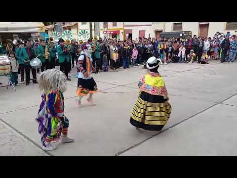 CORCOVADO SEMILLEROS JULCAN, HUERTAS Y CANCHAYLLO _LLOCLLAPAMPA-JAUJA- JUNIN-3 ENERO 26_9/9