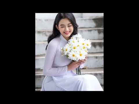 Lời yêu Sheet - Ngọc Quy