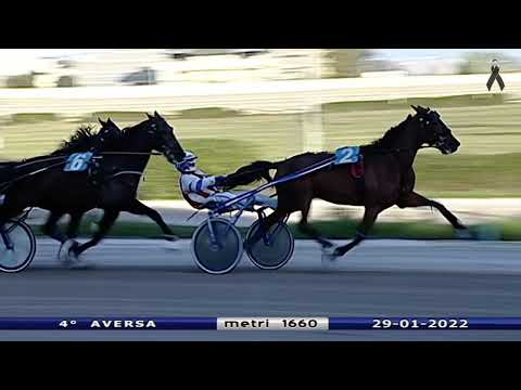 Aversa trotto 29 Gennaio 2022 - 4° Corsa