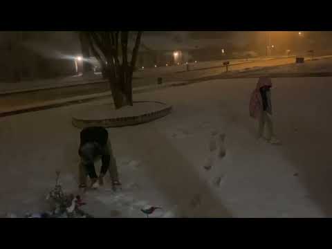 03-11-22 Memphis snow