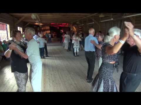 Håvard Svendsruds trio -  Fagre Stryn - Bälgspel vid landsvägskanten 2016