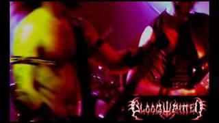Bloodwritten - Reborn Through Fire