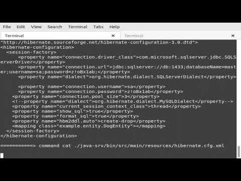 Programming Java Maven Blade Hibernate Sqlserver Ssl Api