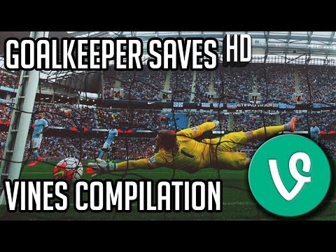 GOALKEEPER SAVES | VINES COMPILATION | HD | 2015-2016