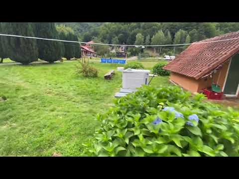 Pensiunea FLORINA -Poiana Marului -Caras-Severin