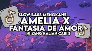 Download lagu Dj Amelia X Fantasia De Amor Mashup Slow Bass Santuy Style Trabas Viral TikTok 2025 mp3