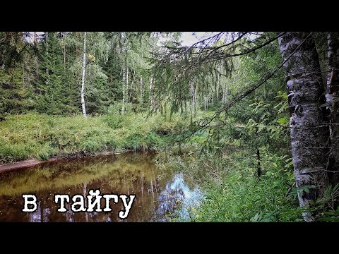 Поход в тайгу/ разведка новых мест