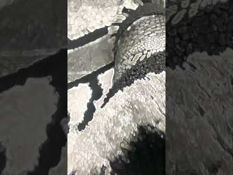 Элитный Турецкий ковёр 2х3, Комбинированая ворса. Cut Loop Leather Collection - фото 1 - id-p2189448387