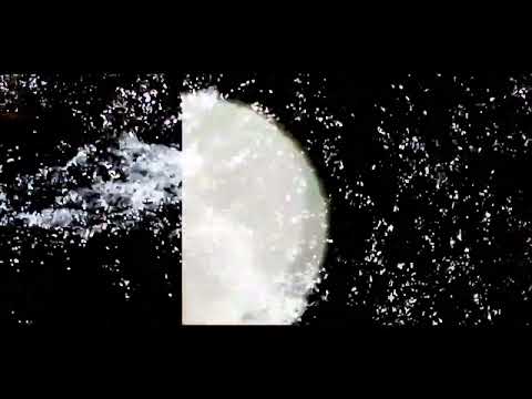 Abacaxi: First Frames