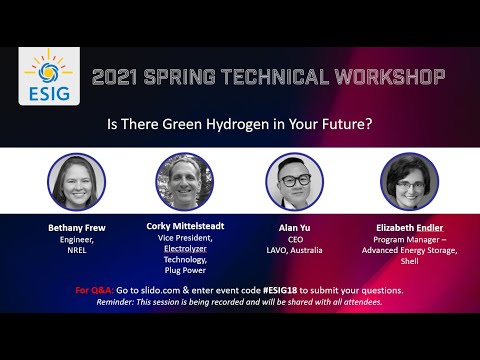 2021 Spring Workshop Session 6: Is There Green Hydrogen in your Future?