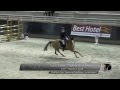 Lucie Saliba - Playboy de st Simeon - CSI** 1m40 ...