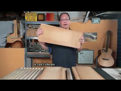 Spruce vs Cedar Acoustic Guitars: Lutheir reviews soundboard wood pros and cons