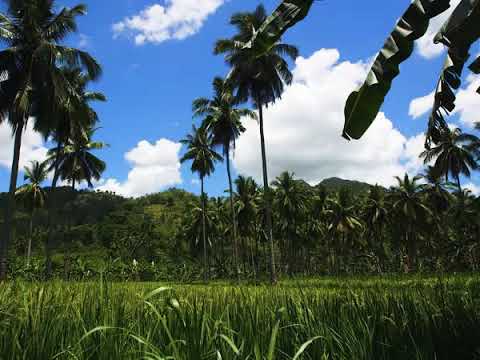 Oceania- Always (Original Mix)