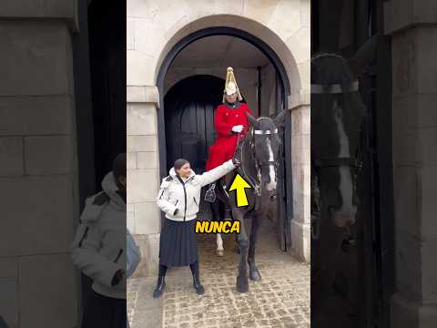 NEVER TOUCH THE HORSE #guard #knight #viralshorts #curiosities #incredible
