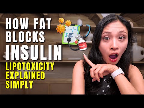 How Fat Blocks Insulin: Lipotoxicity Explained Simply