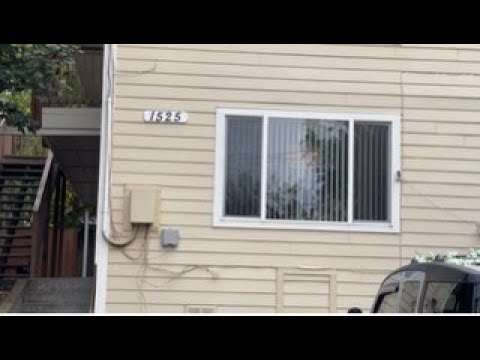 HINS01 - Video 2 of 2