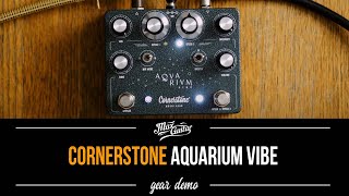 Video thumbnail for Best VIBE on the Market!! - Cornerstone Aquarium by Max Guitar B.V.